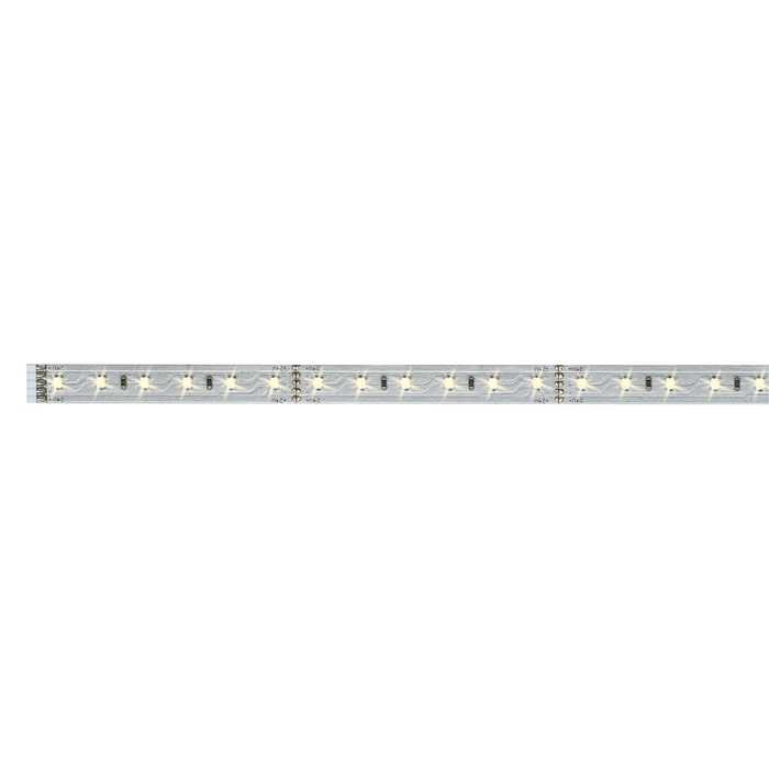 BANDEAU LED STRIP "MAXLED 500" 6W 827 1M BANDEAU LED STRIP "MAXLED 500" 6W 827 1M