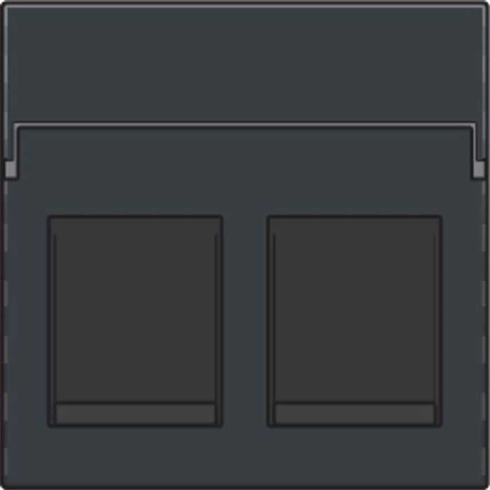 ENJOLIVEUR DOUBLE RJ11/RJ45 ANTHRACITE ENJOLIVEUR DOUBLE RJ11/RJ45 ANTHRACITE